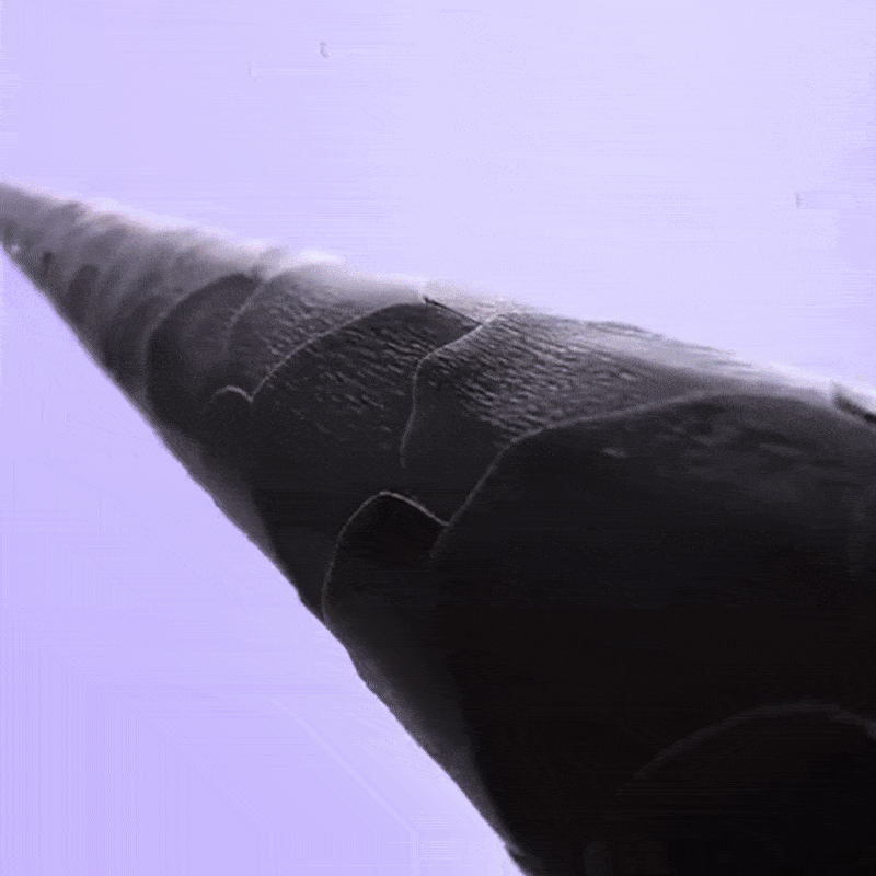 QuickStyle Curling Brush