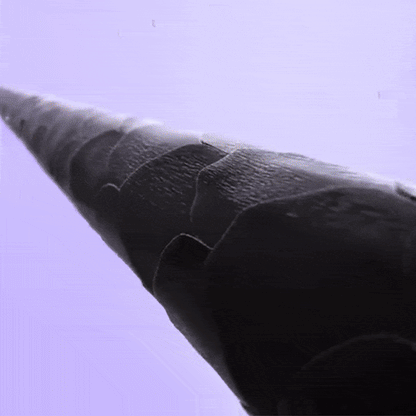 QuickStyle Curling Brush