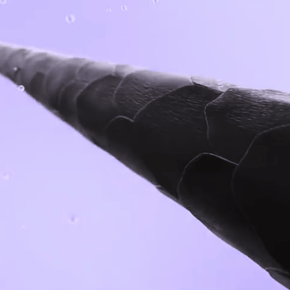 QuickStyle Curling Brush